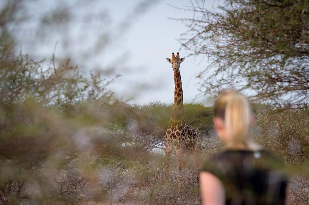 Klaserie River Safari Lodge Hoedspruit Bagian luar foto