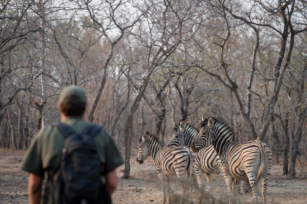 Klaserie River Safari Lodge Hoedspruit Bagian luar foto