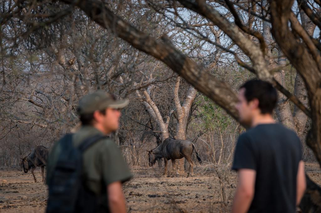 Klaserie River Safari Lodge Hoedspruit Bagian luar foto